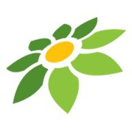 PNG LOGO INSTAGRAM